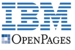 IBM logo